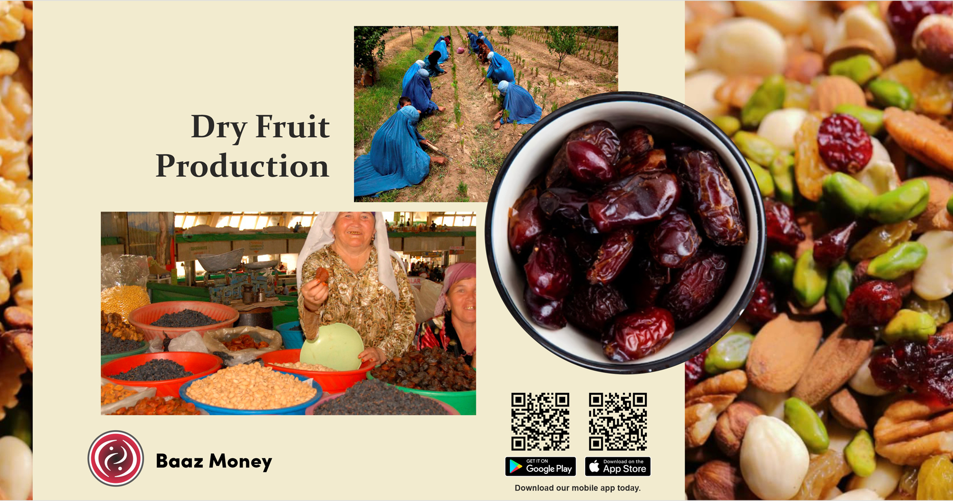 Dry Fruit Production in Afghanistan